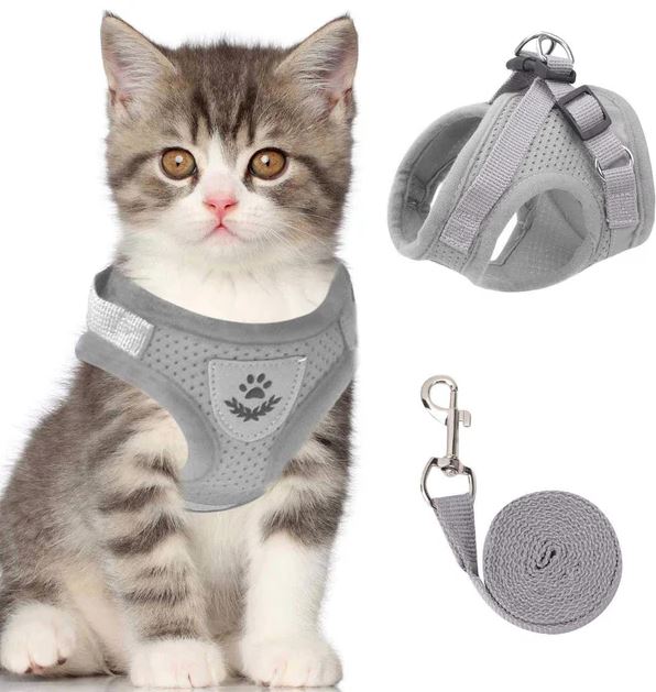 Adjustable, breathable, and luminous cat harness