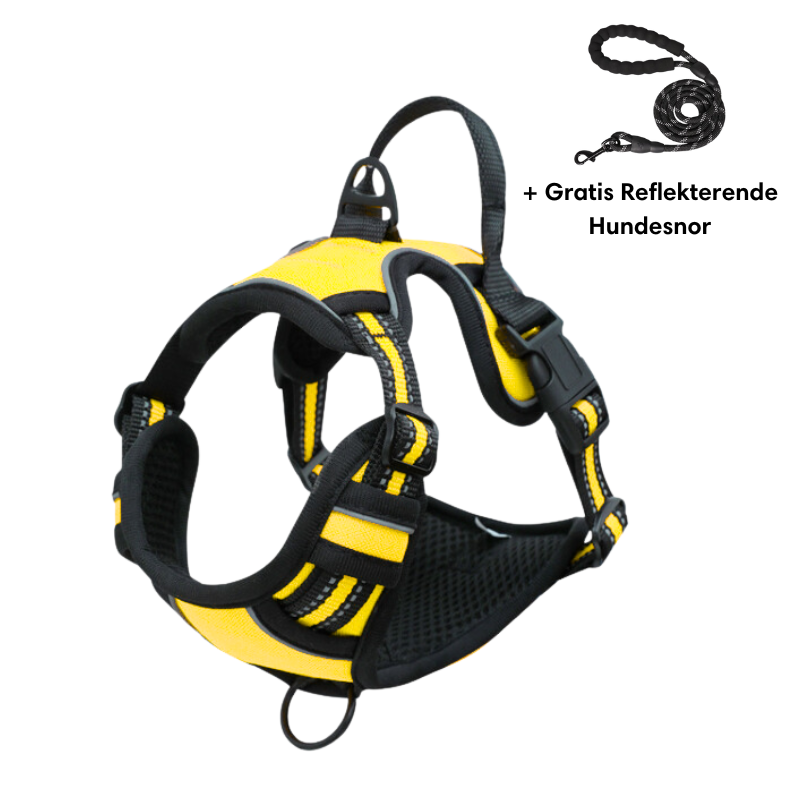 Reflective anti-pull harness