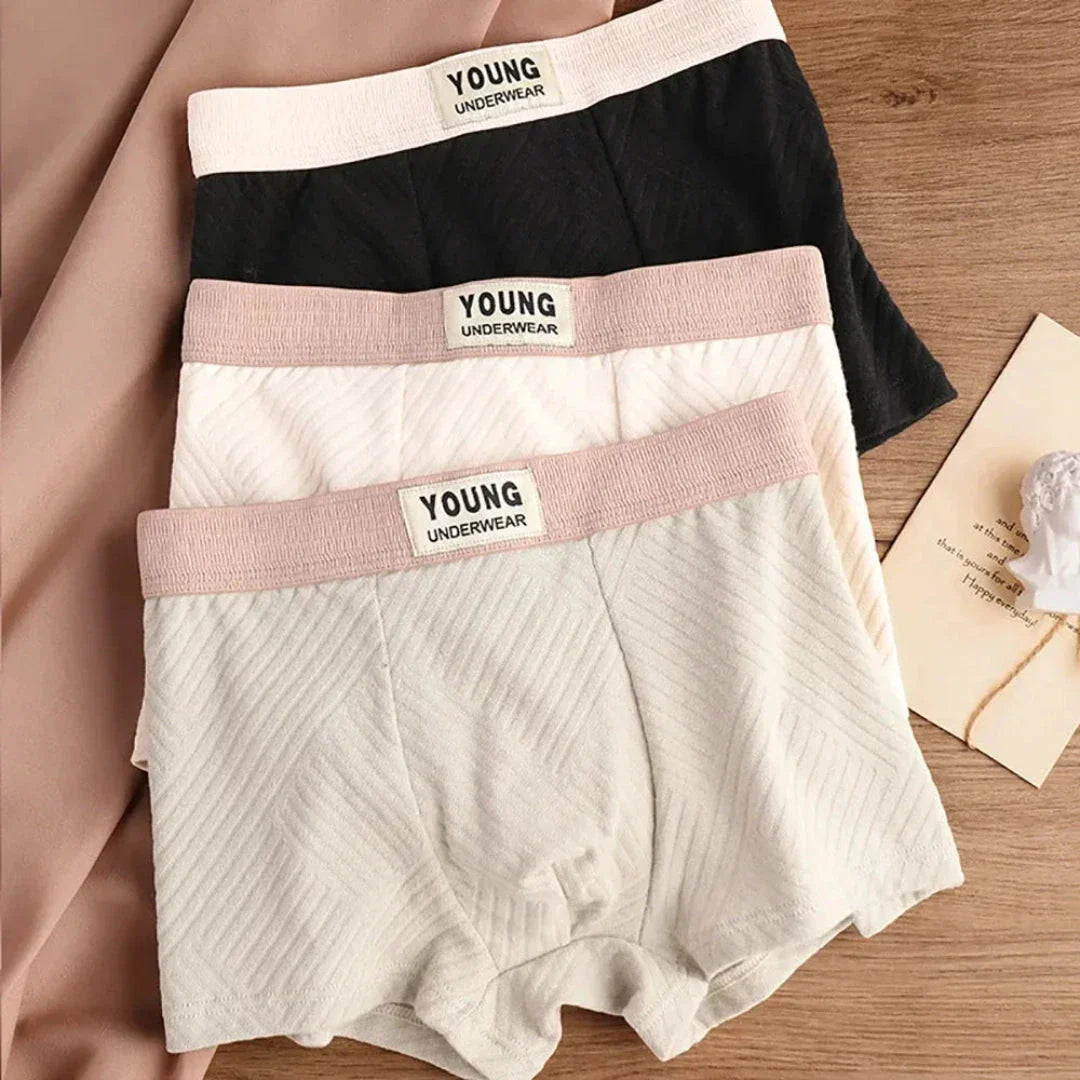 3 Pack Antibacterial Cotton Mens Boxers Soft Stretch Fit Moisture Wicking Breathable Underwear TrendAura
