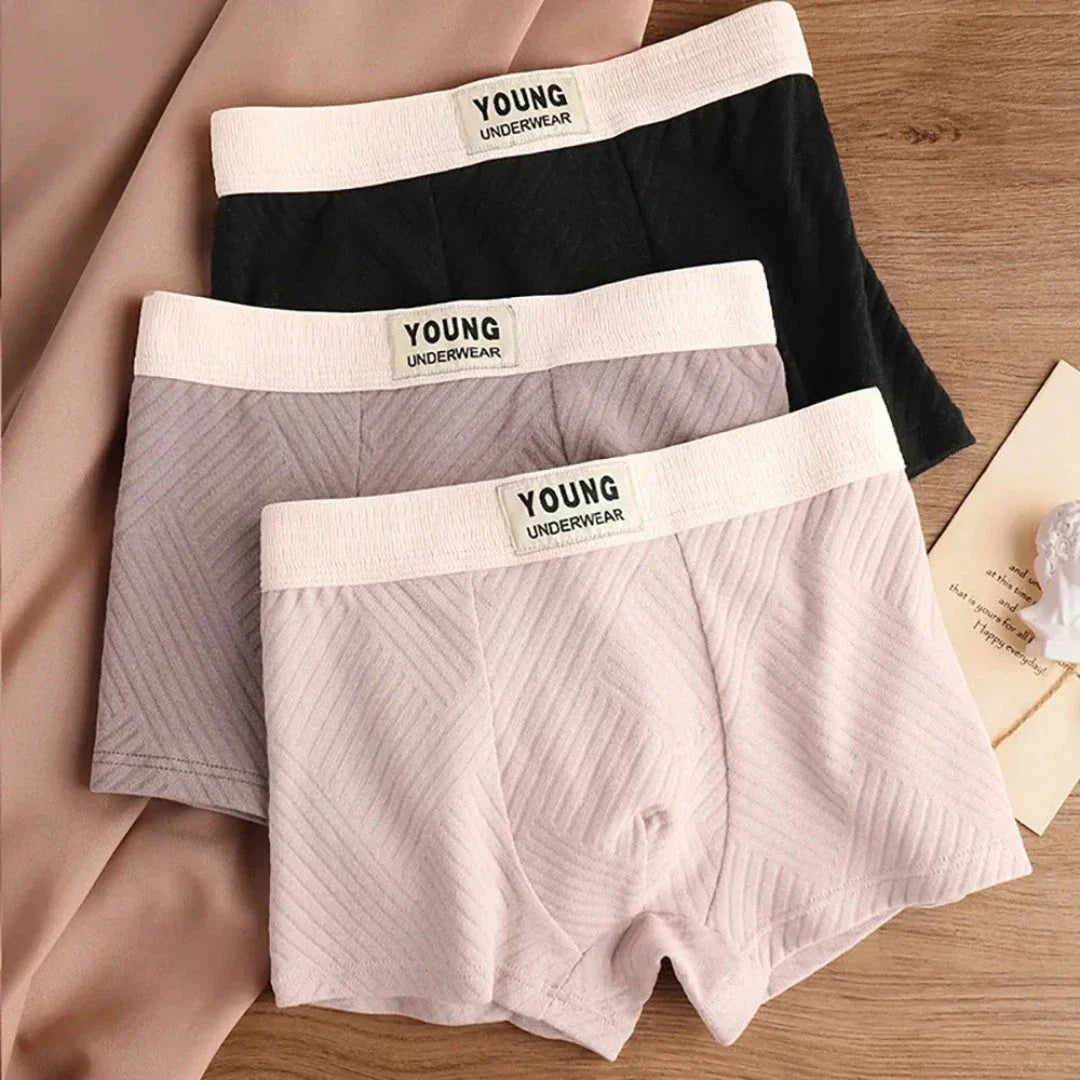 3 Pack Antibacterial Cotton Mens Boxers Soft Stretch Fit Moisture Wicking Breathable Underwear TrendAura