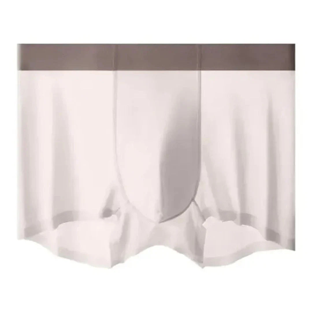 4-Piece Ice Silk Antibacterial Men's Boxer Briefs Set Ultra Thin Breathable Comfort