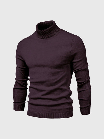 Rik | High-quality washable turtleneck for men