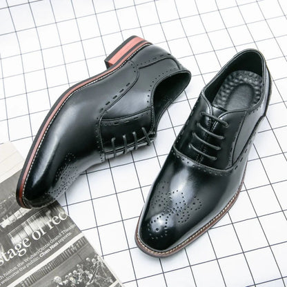 Waylynn Alessio Brogue Oxford Shoes For Men Premium Leather Handcrafted Dress Shoes With Classic Brogue Detailing