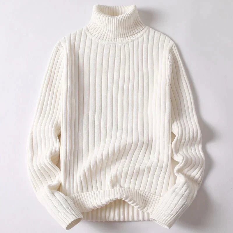 Elegant men's turtleneck sweater