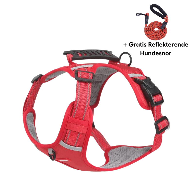 Reflective anti-pull harness