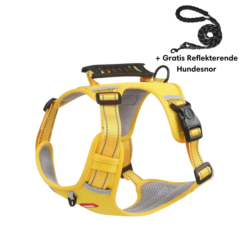 Reflective anti-pull harness