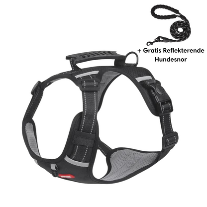 Reflective anti-pull harness