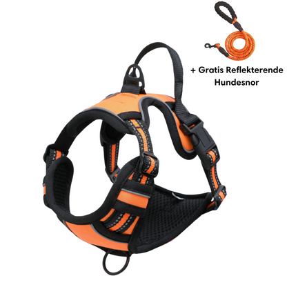 Reflective anti-pull harness