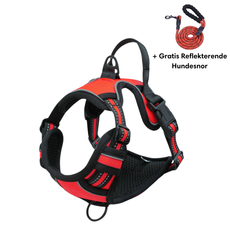 Reflective anti-pull harness