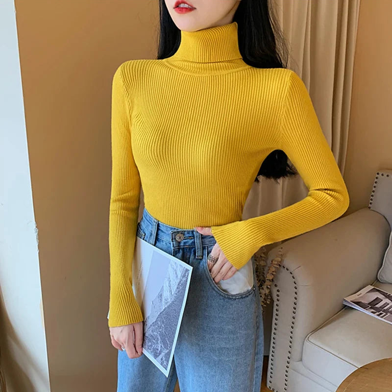 Knitted Sweater For Women With Pleated Stand Up Collar And All Day Comfort For Daily Wear