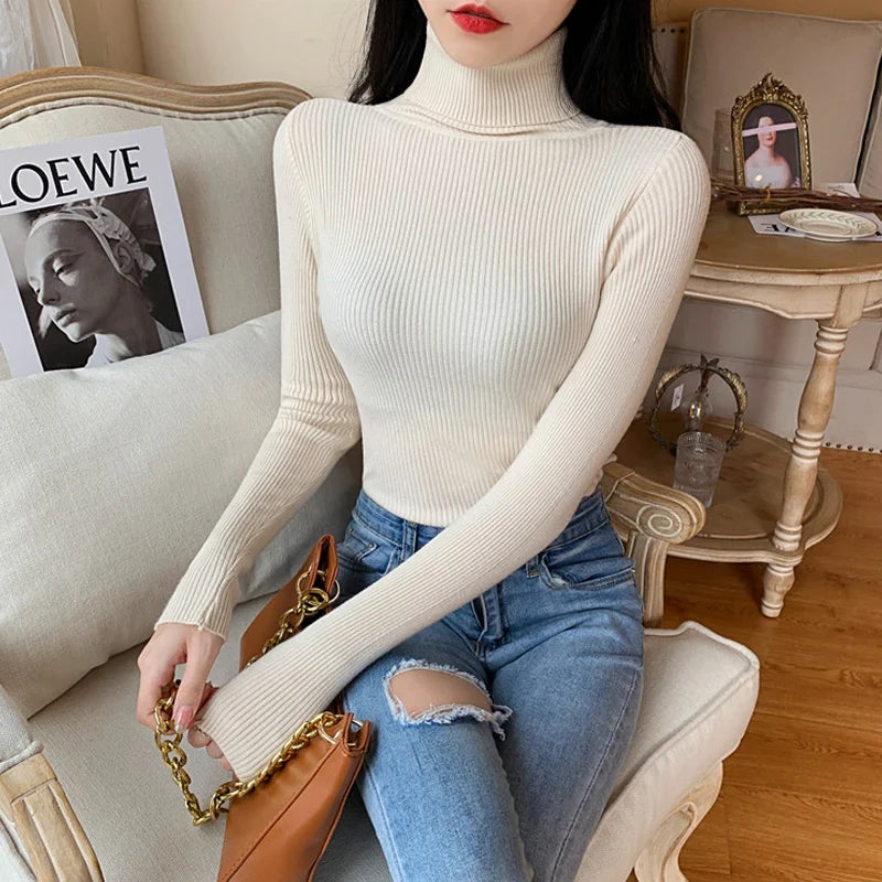 Knitted Sweater For Women With Pleated Stand Up Collar And All Day Comfort For Daily Wear