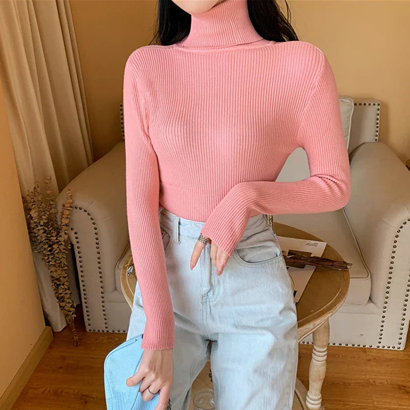Knitted Sweater For Women With Pleated Stand Up Collar And All Day Comfort For Daily Wear