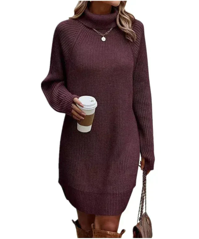 Women's Winter Knit Dress | With Turtleneck and Long Sleeve