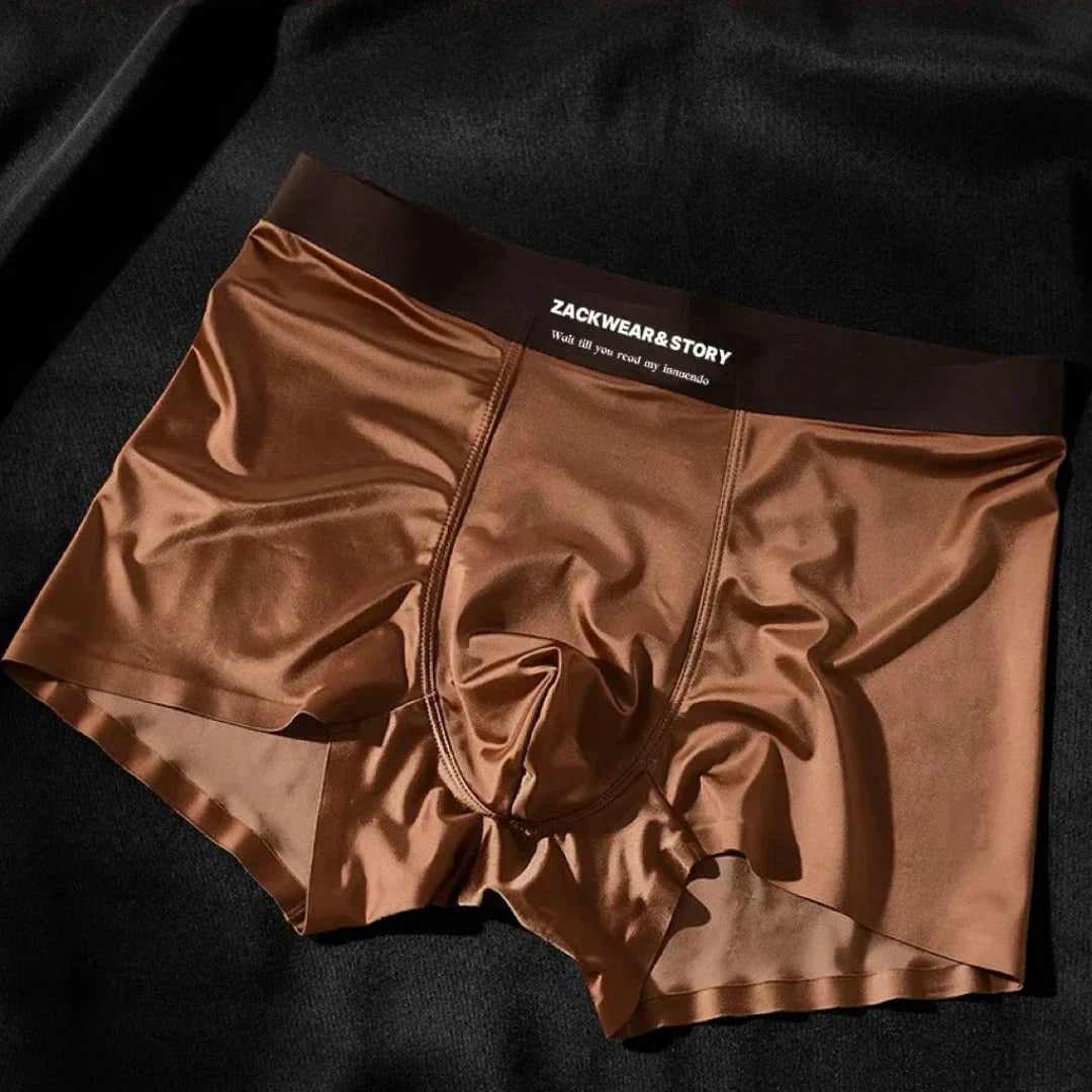 Zack Ice Silk Stretch Boxer Briefs