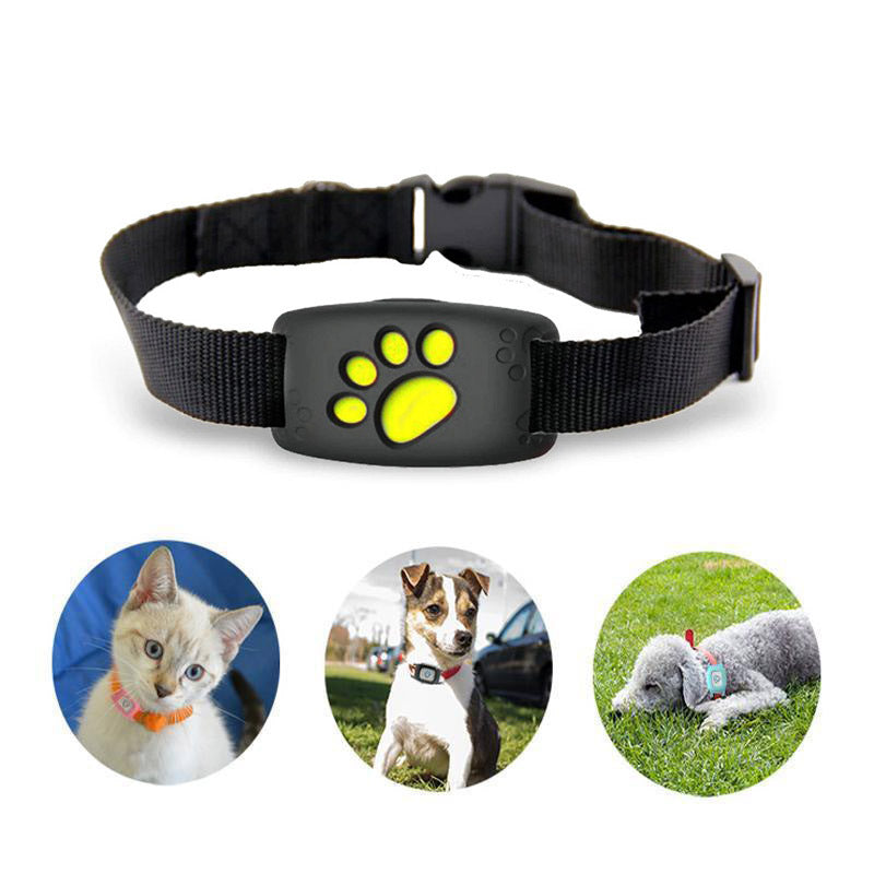 GPS Tracker Cat – Waterproof & No Subscription