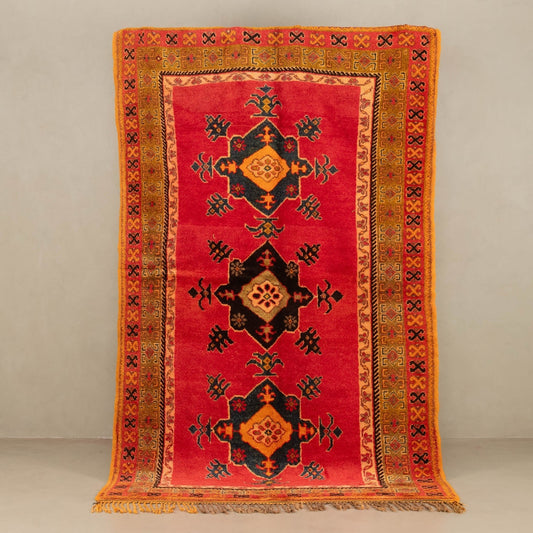 Bradia - taznakht kilim rug - TrendAura