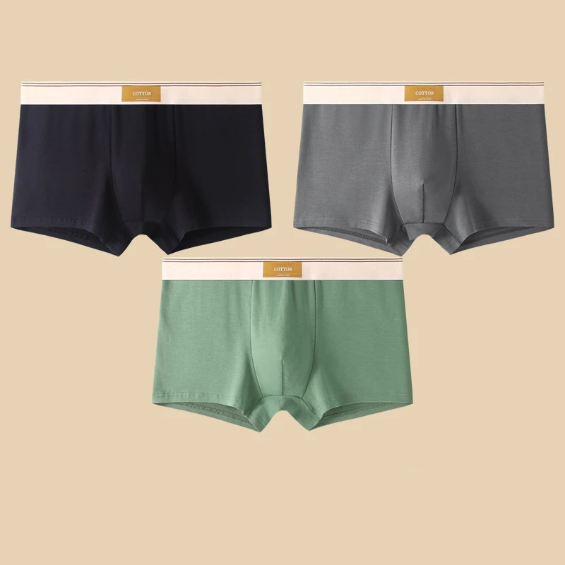 Cotton Fitted Boxer Briefs Two Piece Set for Men with Branded Waistband Solid Shorts Nordic Quality