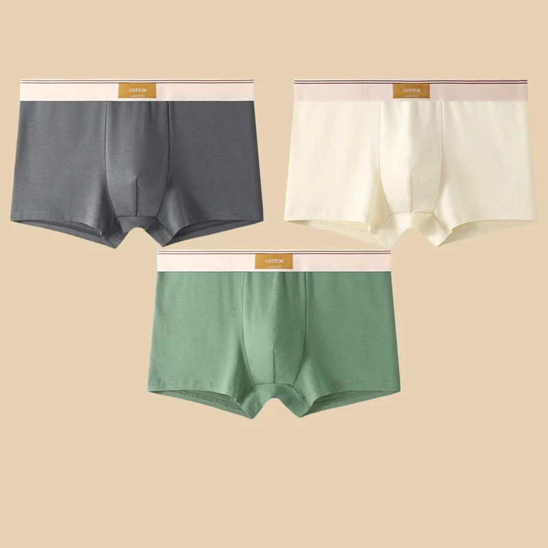 Cotton Fitted Boxer Briefs Two Piece Set for Men with Branded Waistband Solid Shorts Nordic Quality