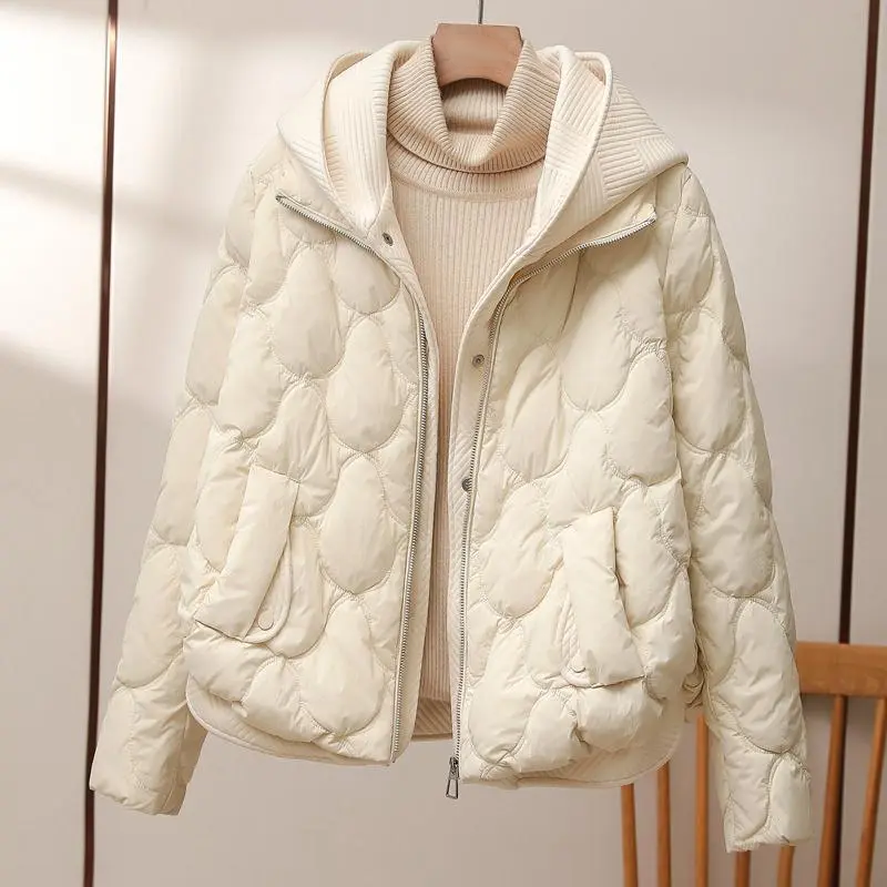Women's Winter Puffer Jacket | With Hood