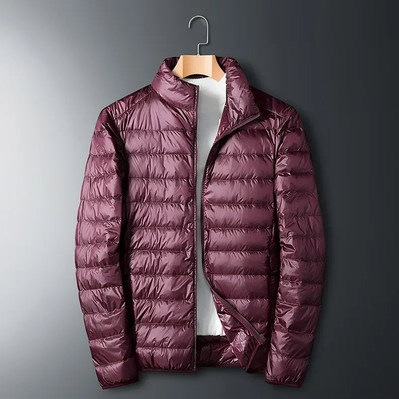 Men's Puffer Jacket Regular Fit Quilted Nylon Full Zip Stand Collar Winter Coat Warm Layer